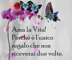 rinforzo positivo, frasi motivazionali, citazioni famose, positività, motivazione quotidiana, sviluppo personale frasi ispiratrici, crescita interiore, mindset positivo, benessere mentale